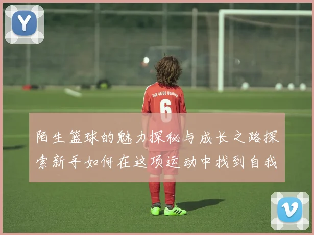 陌生篮球的魅力探秘与成长之路探索新手如何在这项运动中找到自我